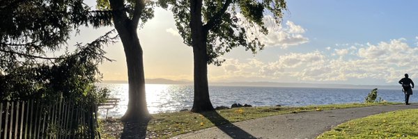 asch Profile Banner