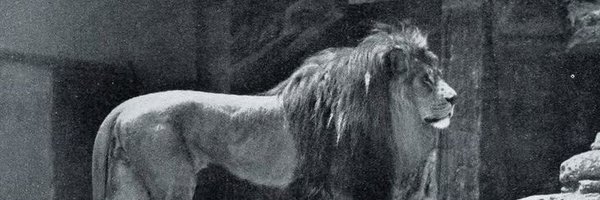 omar_dddg Profile Banner