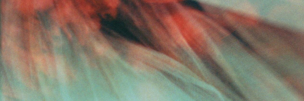 Albumen Gallery banner