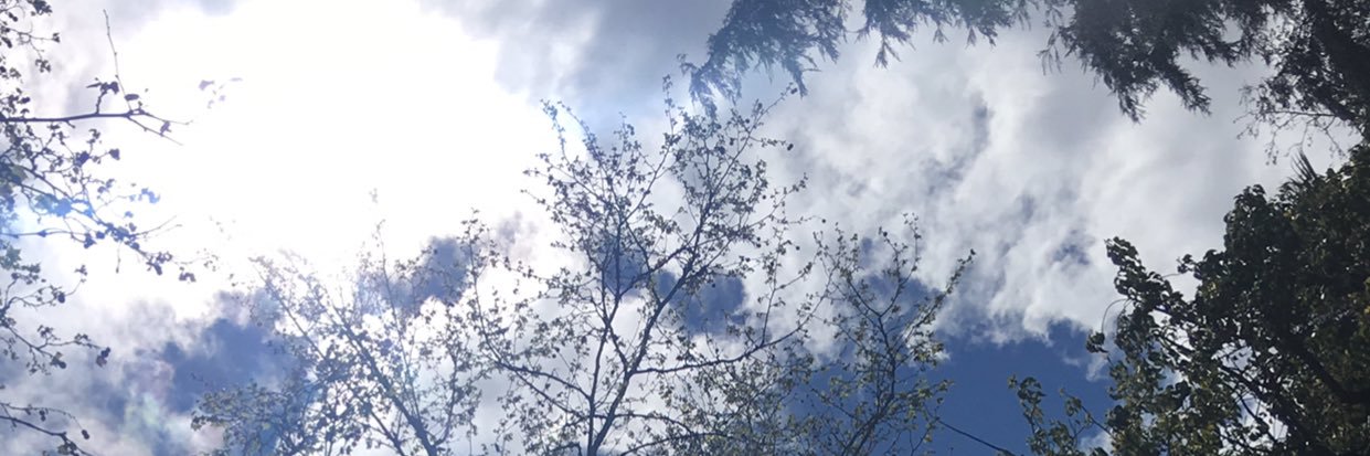 eLenacg15's profile banner image
