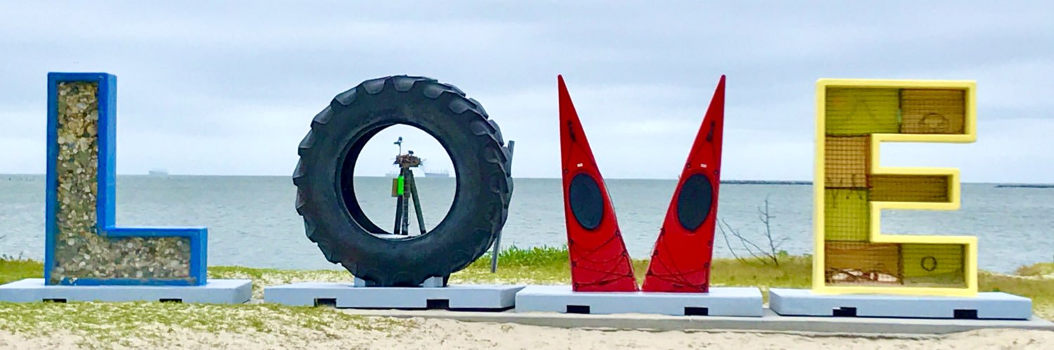 Natasha Gray Hitchcock (she/her) banner