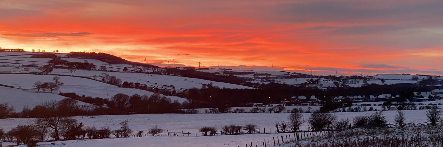 Jonathan Steed banner