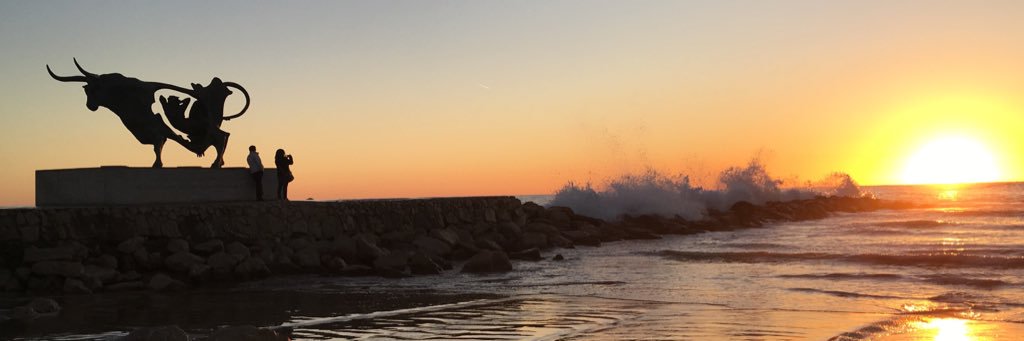 Gerard Muñoz Ch. 🎗 banner