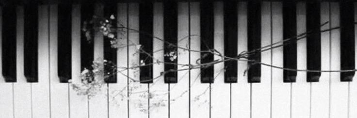 floren banner
