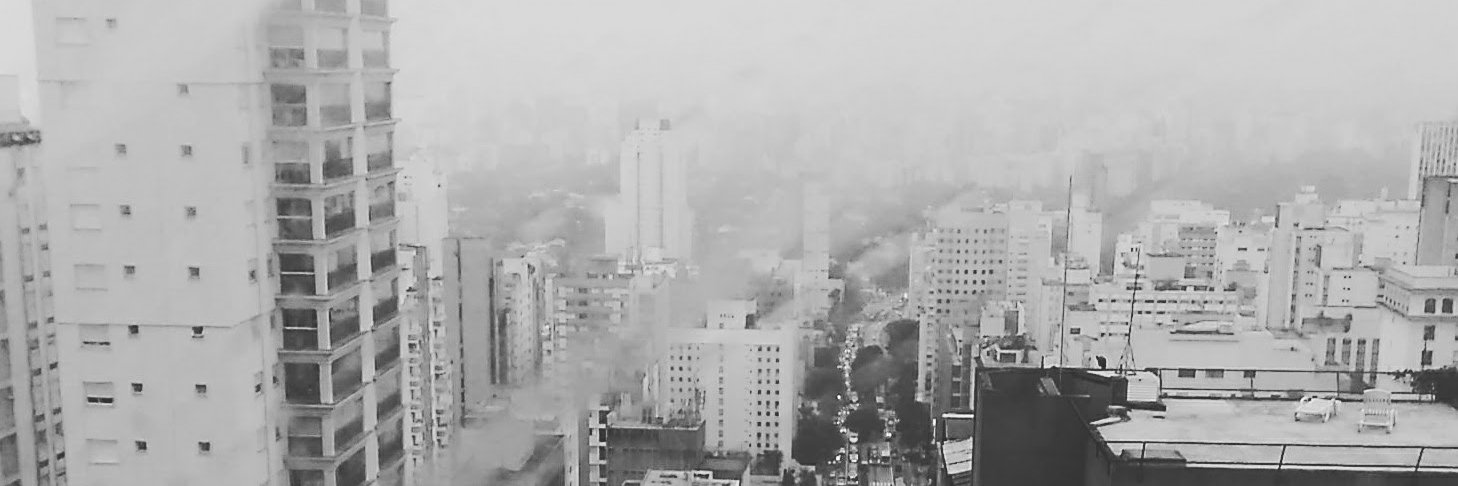 Lis Gomes banner