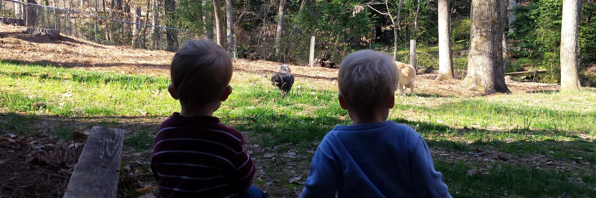 David King, Construction Litigator banner