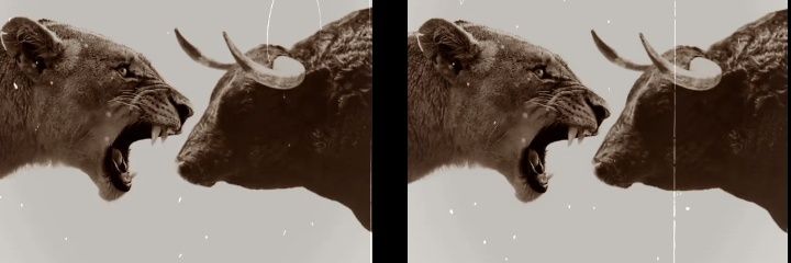 Sinazo_Nkomo's profile banner image