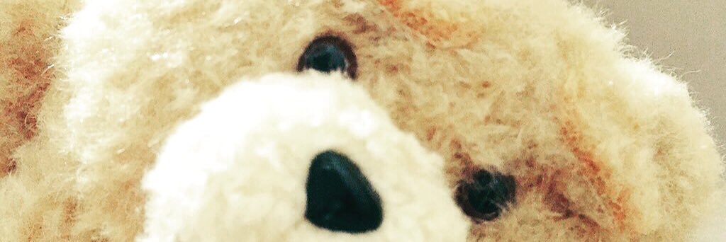 aripoyoon's profile banner image