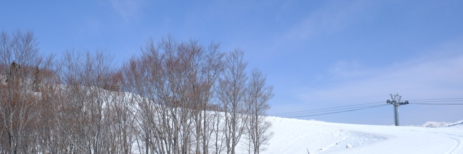 zenan's profile banner image