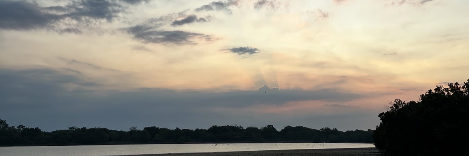 Babyshark banner
