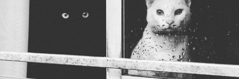 marwillcz's profile banner image