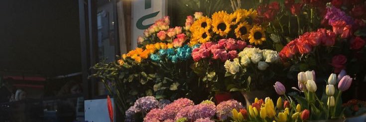 withflaw's profile banner image