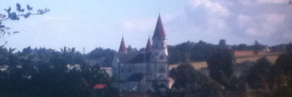 loica75 Profile Banner