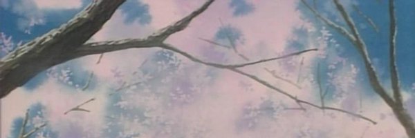 x0_lua Profile Banner
