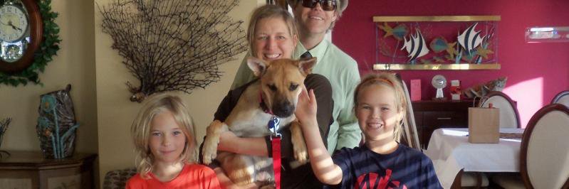 ddchamberlain banner