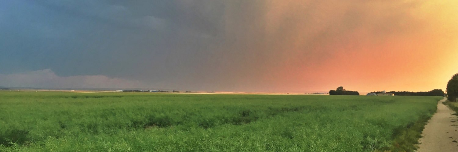 Jessica Froehlich (she/her) banner