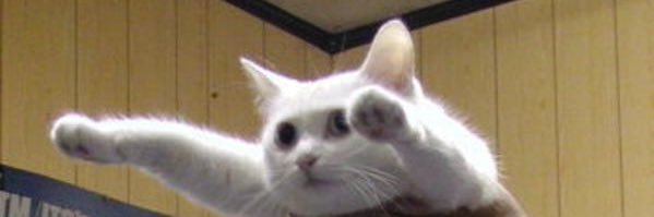 nuckable's profile banner image