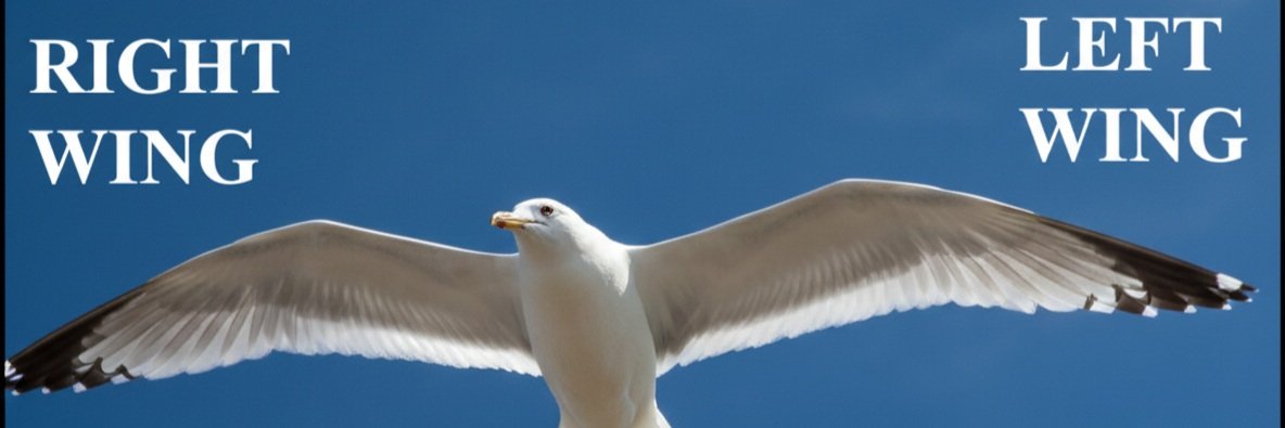 Teorietyk Spiskówe 🐉 banner