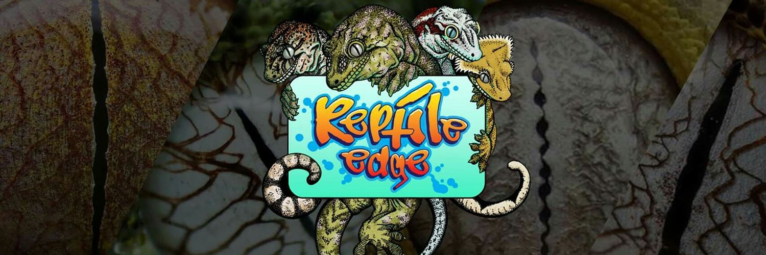 Reptiledge's profile banner image
