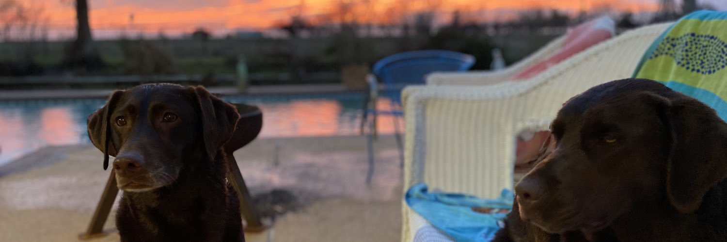 c_sobolak's profile banner image