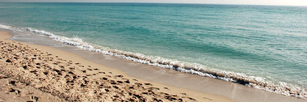 Vivian M. Santiesteban-Pardo banner