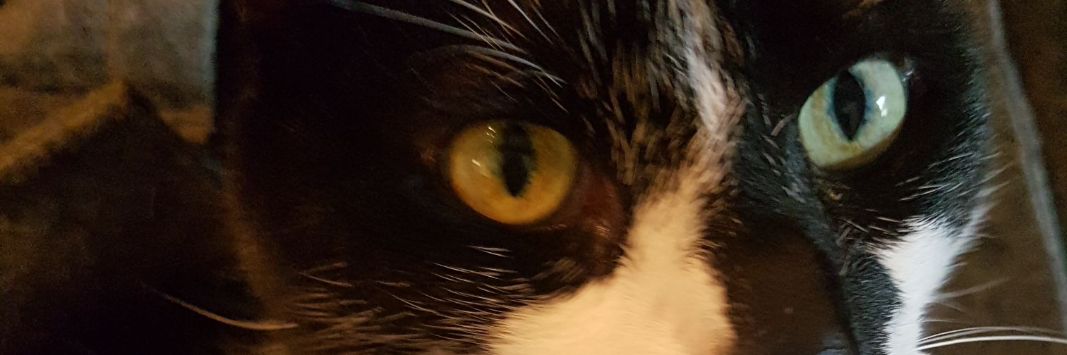 sterre74's profile banner image