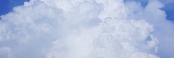 savvyconsumer7 Profile Banner
