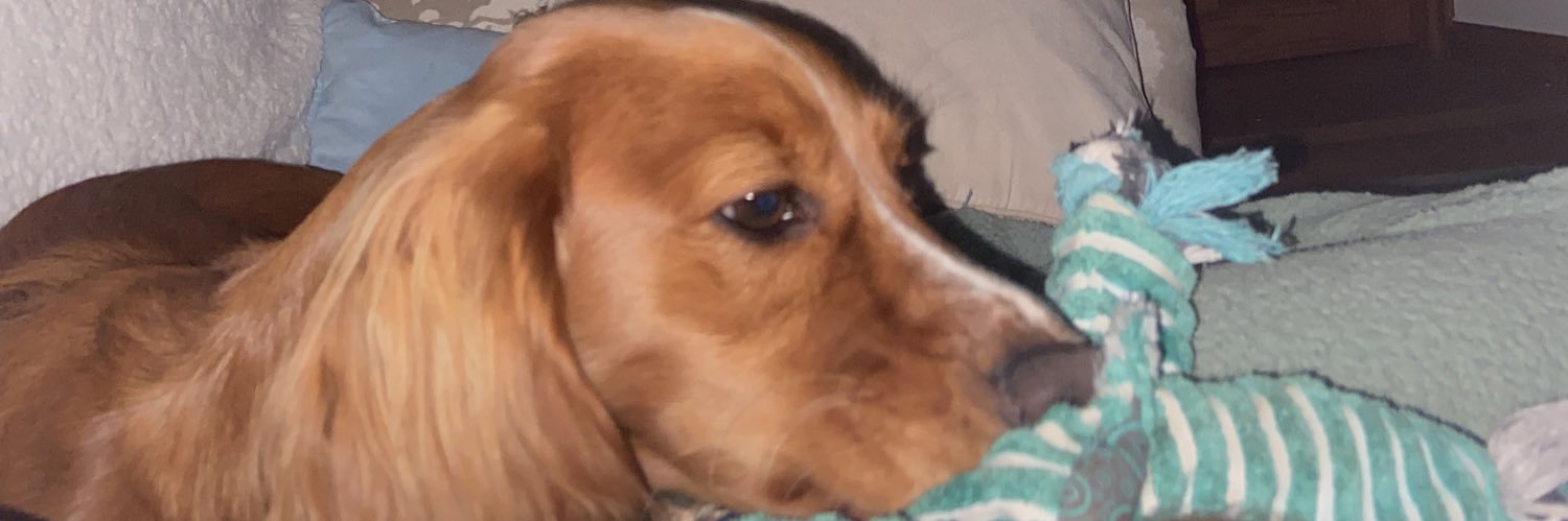 millieisaacs's profile banner image