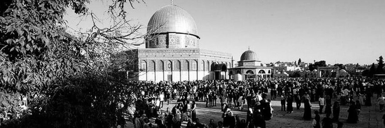 husseinhatemk's profile banner image