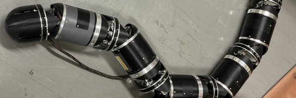 hogelungfish_ Profile Banner