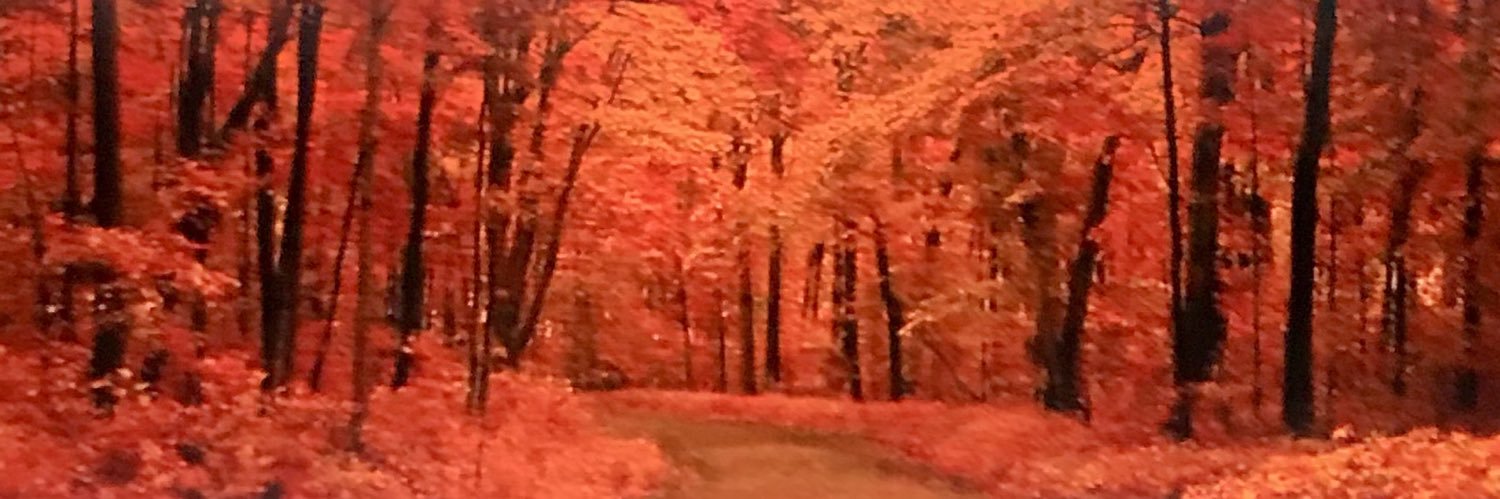 acpazosp's profile banner image