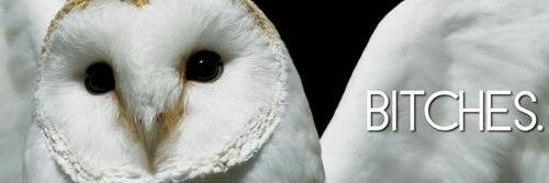 moonayyy's profile banner image