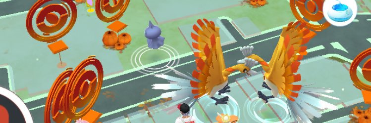 anaumaou's profile banner image