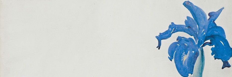 _Netsera's profile banner image