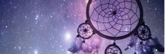 Shxelia's profile banner image