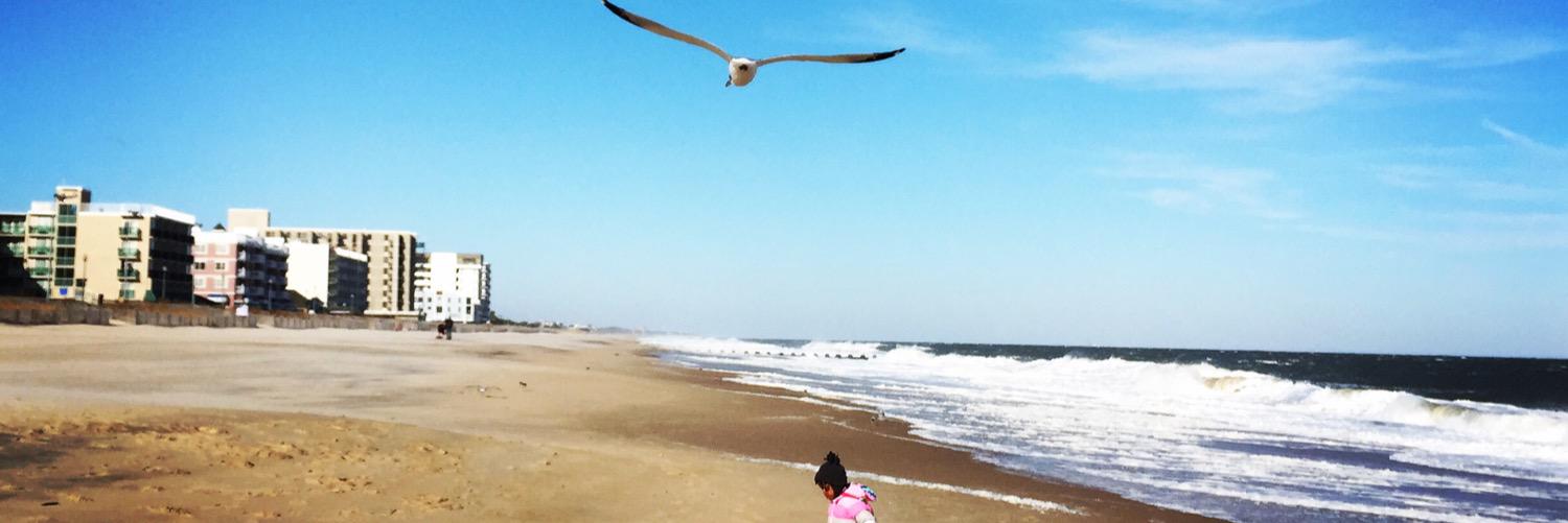 Yaya Jata Fanusie banner