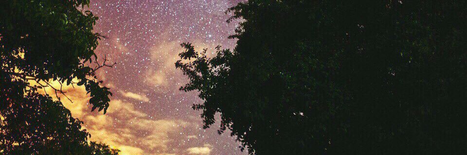L I Z A banner