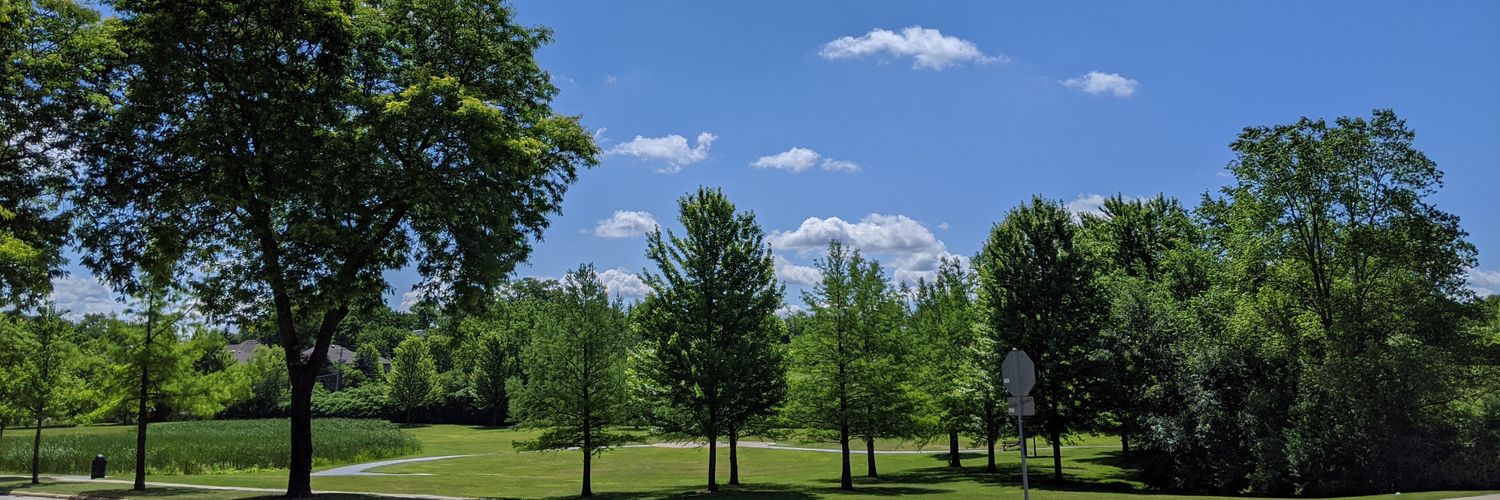 wolfram40's profile banner image