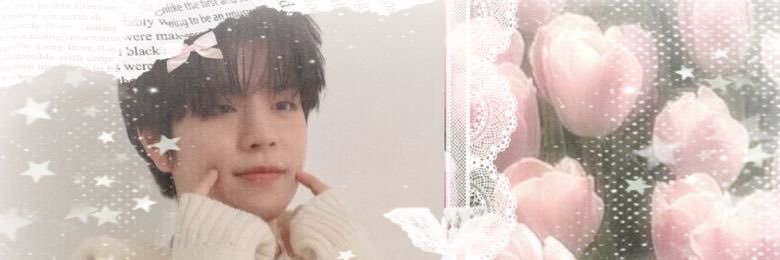 ⋆˙⟡ — Nova IS SEEING SKZ 🇨🇴 banner
