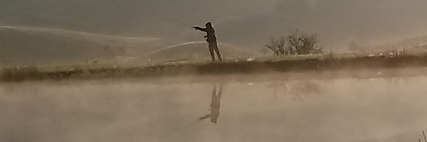 nellacooper90's profile banner image