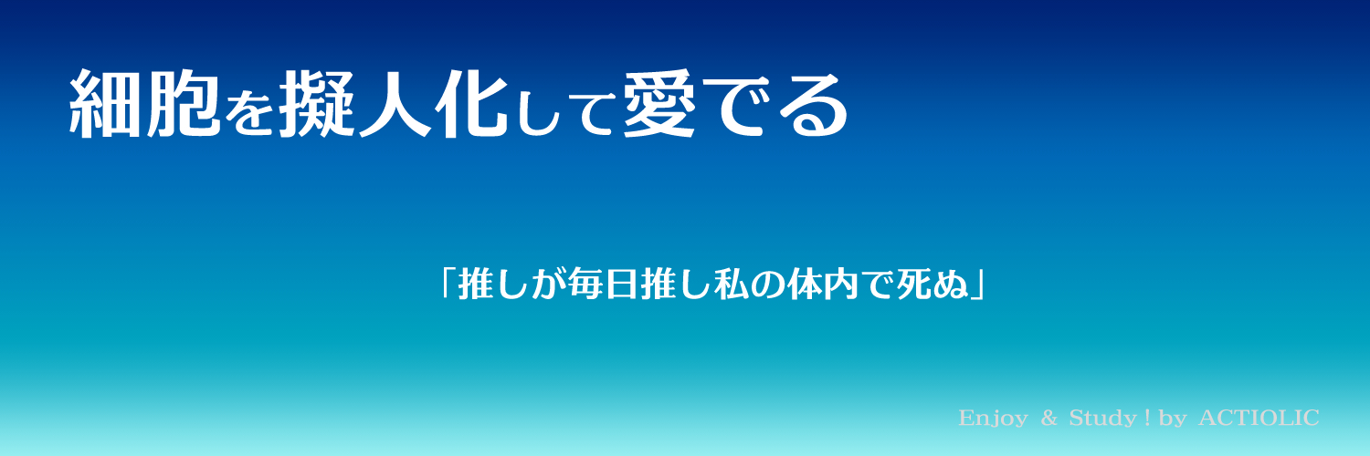 saibo_plus's profile banner image
