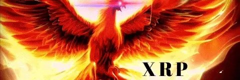 RayNRoots's profile banner image