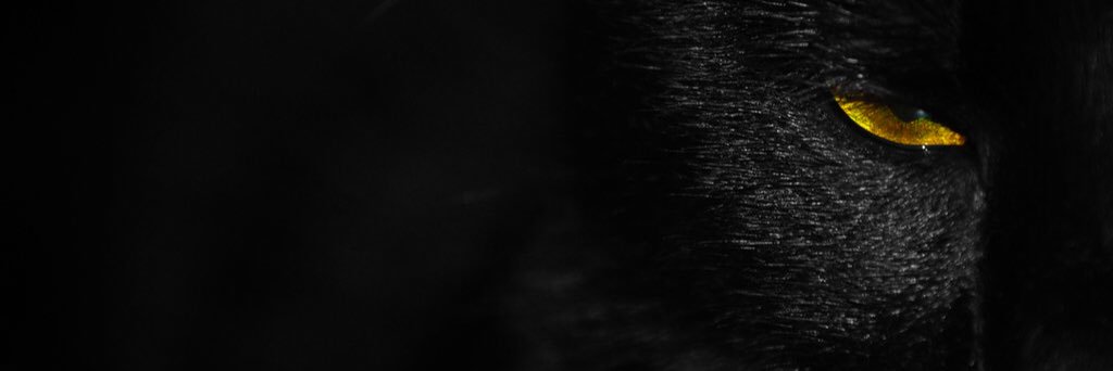 SanaAzaz's profile banner image