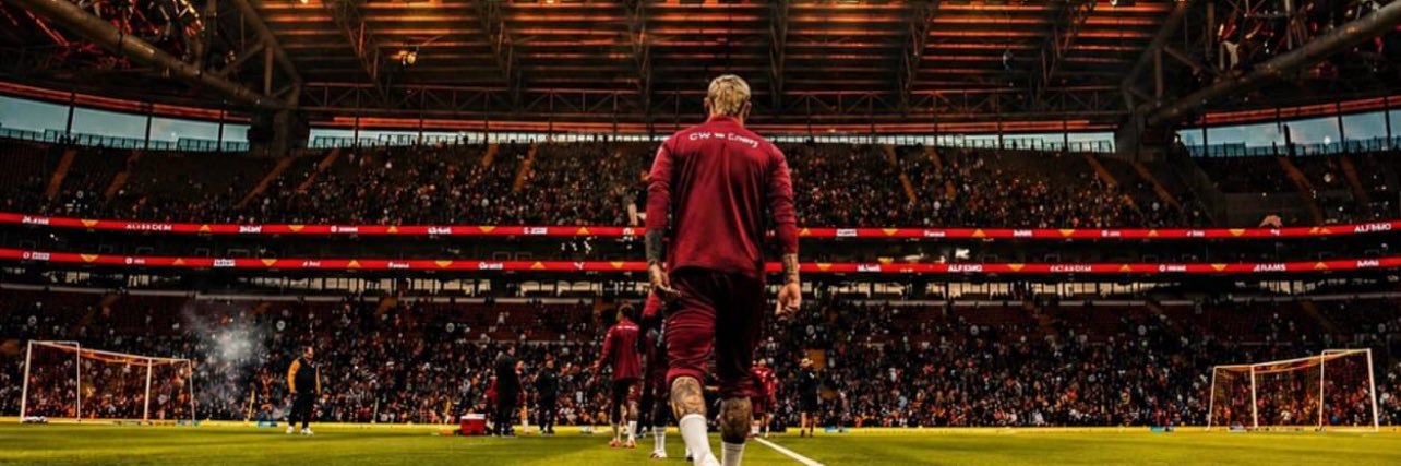 ferit banner