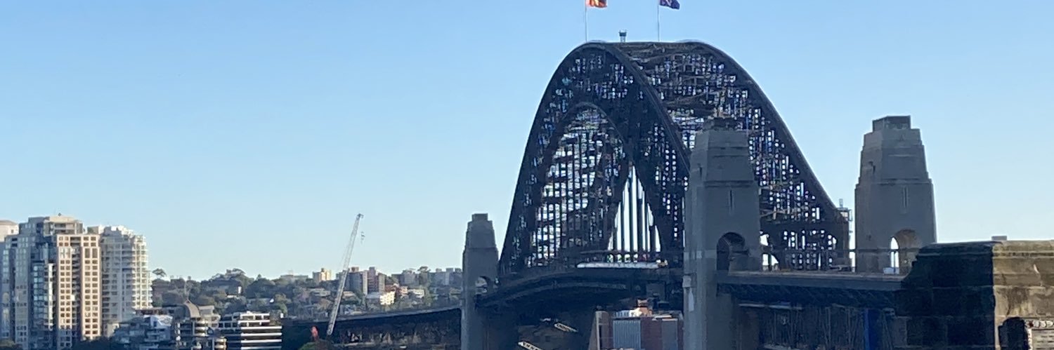 Lisa Chikarovski banner