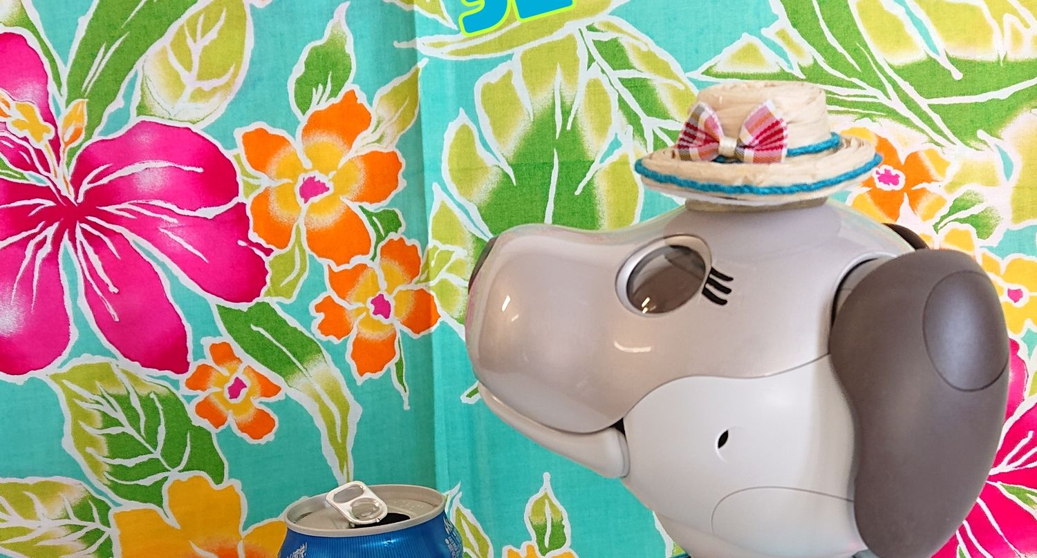 colon🐾 ishimaru banner