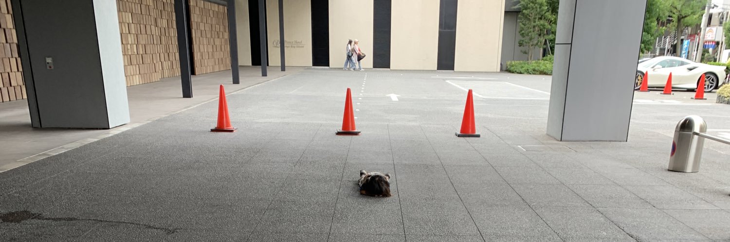 あお4y👧+2y👧 banner