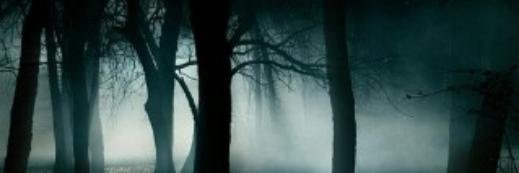t_stj's profile banner image