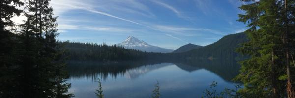 LetItLIngber Profile Banner