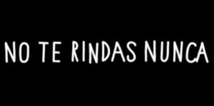 LalaBerino's profile banner image
